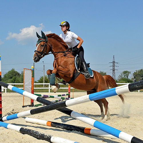 Sport équestre hotsell