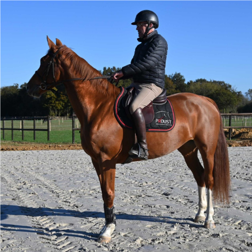 Programme d'équitation renforcée de Bois-Robert Programme d'équitation renforcée de Bois-Robert