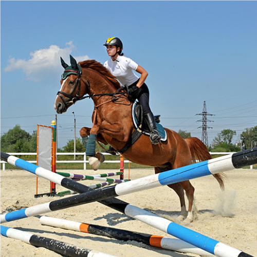 Rejoindre le programme Équitation Renforcée Rejoindre le programme<br />
Équitation Renforcée